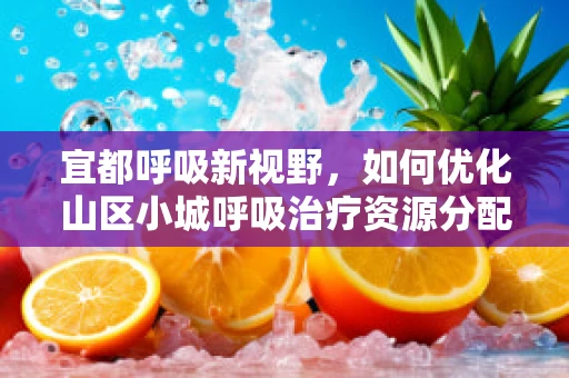 宜都呼吸新视野，如何优化山区小城呼吸治疗资源分配？