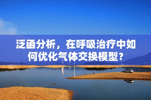 泛函分析，在呼吸治疗中如何优化气体交换模型？
