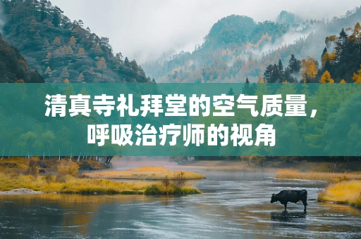 清真寺礼拜堂的空气质量，呼吸治疗师的视角