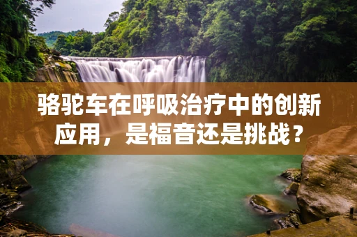 骆驼车在呼吸治疗中的创新应用，是福音还是挑战？