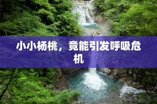 小小杨桃，竟能引发呼吸危机