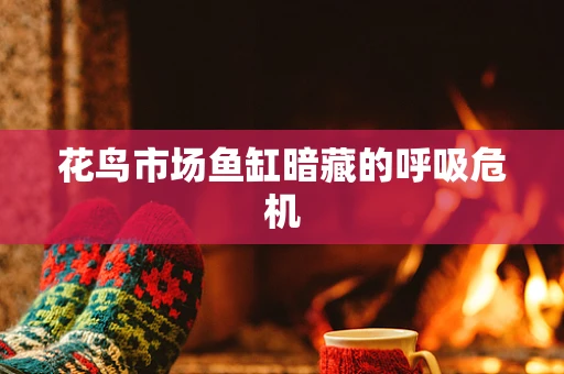 花鸟市场鱼缸暗藏的呼吸危机
