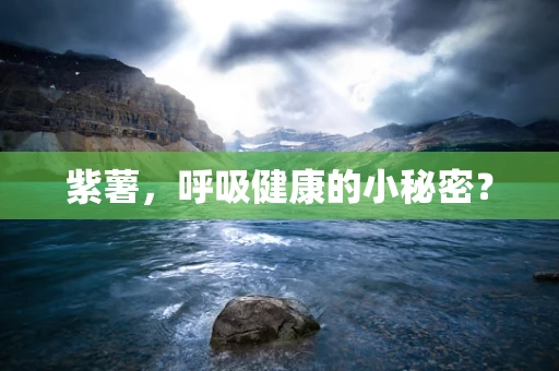 紫薯，呼吸健康的小秘密？