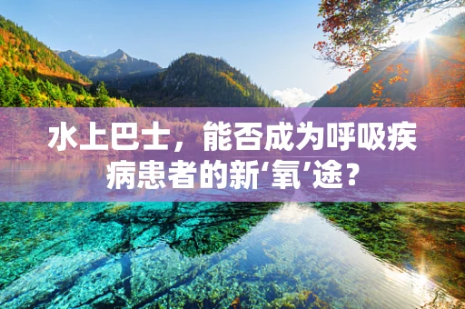 水上巴士，能否成为呼吸疾病患者的新‘氧’途？