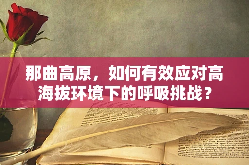 那曲高原，如何有效应对高海拔环境下的呼吸挑战？