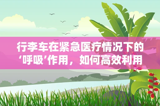 行李车在紧急医疗情况下的‘呼吸’作用，如何高效利用？