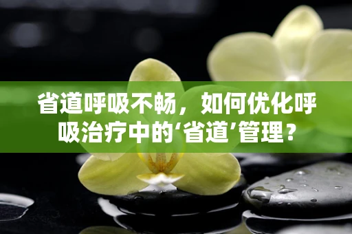 省道呼吸不畅，如何优化呼吸治疗中的‘省道’管理？