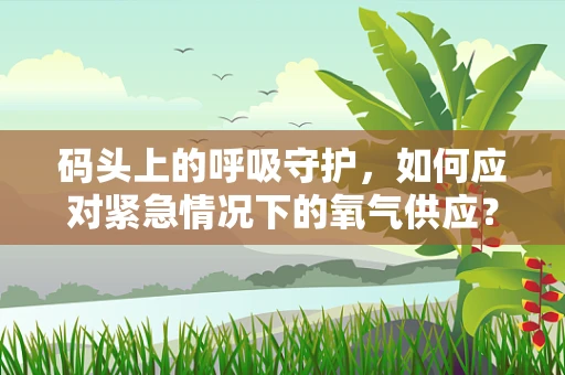 码头上的呼吸守护，如何应对紧急情况下的氧气供应？