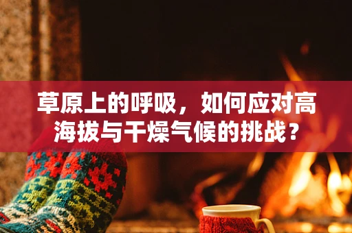 草原上的呼吸，如何应对高海拔与干燥气候的挑战？