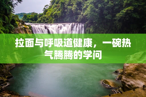 拉面与呼吸道健康，一碗热气腾腾的学问