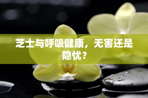 芝士与呼吸健康，无害还是隐忧？