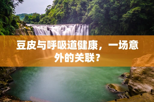 豆皮与呼吸道健康，一场意外的关联？