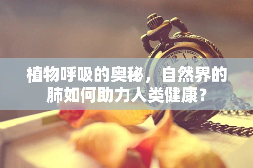 植物呼吸的奥秘，自然界的肺如何助力人类健康？