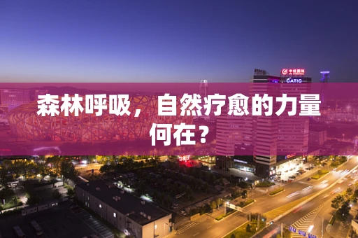 森林呼吸，自然疗愈的力量何在？