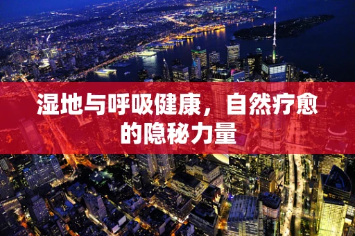 湿地与呼吸健康，自然疗愈的隐秘力量