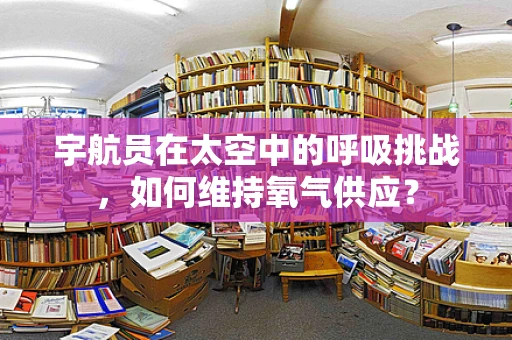 宇航员在太空中的呼吸挑战，如何维持氧气供应？