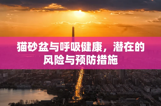 猫砂盆与呼吸健康，潜在的风险与预防措施