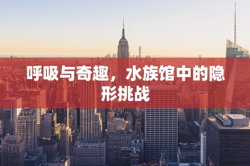 呼吸与奇趣，水族馆中的隐形挑战