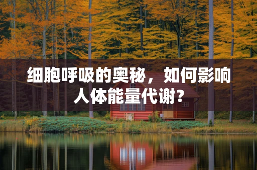 细胞呼吸的奥秘，如何影响人体能量代谢？