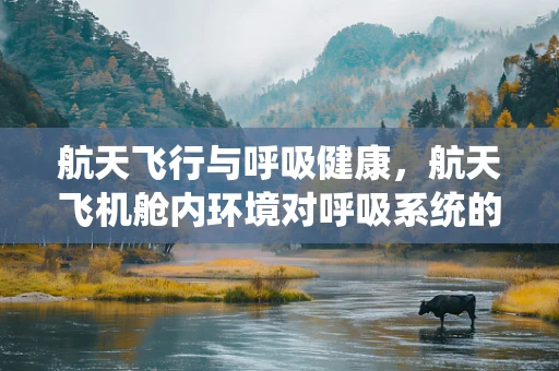 航天飞行与呼吸健康，航天飞机舱内环境对呼吸系统的影响？
