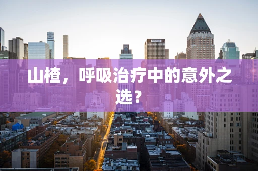 山楂，呼吸治疗中的意外之选？