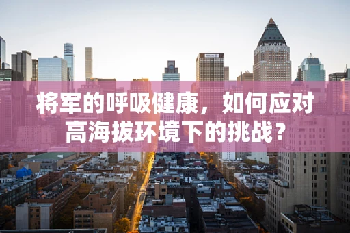 将军的呼吸健康，如何应对高海拔环境下的挑战？
