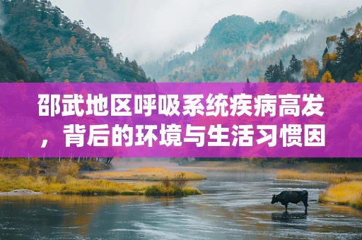 邵武地区呼吸系统疾病高发，背后的环境与生活习惯因素探析