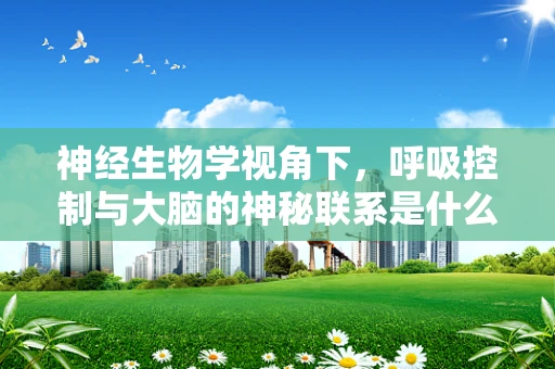 神经生物学视角下，呼吸控制与大脑的神秘联系是什么？