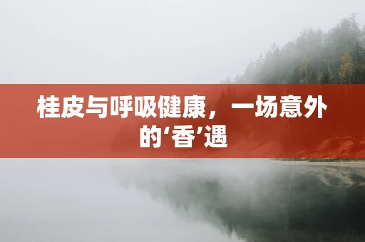 桂皮与呼吸健康，一场意外的‘香’遇