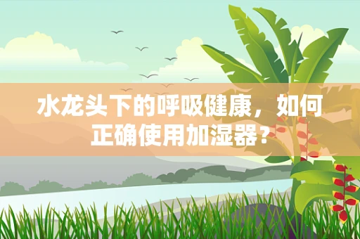 水龙头下的呼吸健康，如何正确使用加湿器？