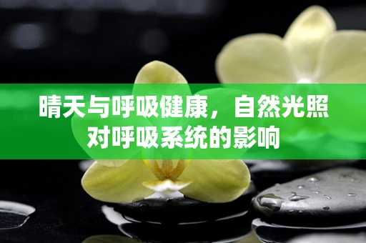 晴天与呼吸健康，自然光照对呼吸系统的影响