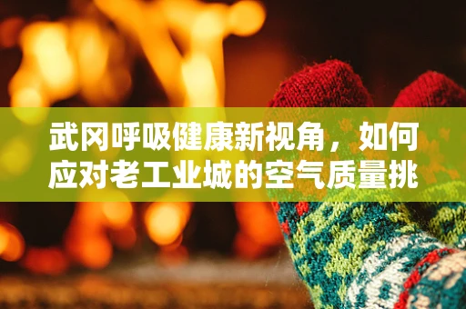 武冈呼吸健康新视角，如何应对老工业城的空气质量挑战？