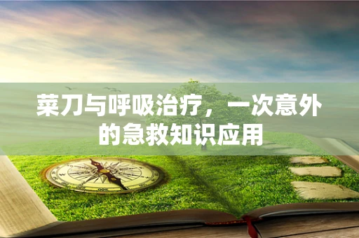 菜刀与呼吸治疗，一次意外的急救知识应用