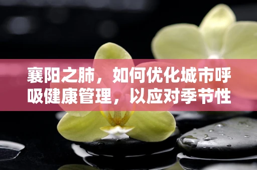 襄阳之肺，如何优化城市呼吸健康管理，以应对季节性呼吸疾病挑战？