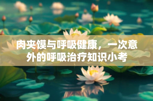 肉夹馍与呼吸健康，一次意外的呼吸治疗知识小考