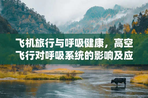 飞机旅行与呼吸健康，高空飞行对呼吸系统的影响及应对策略