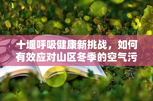 十堰呼吸健康新挑战，如何有效应对山区冬季的空气污染？