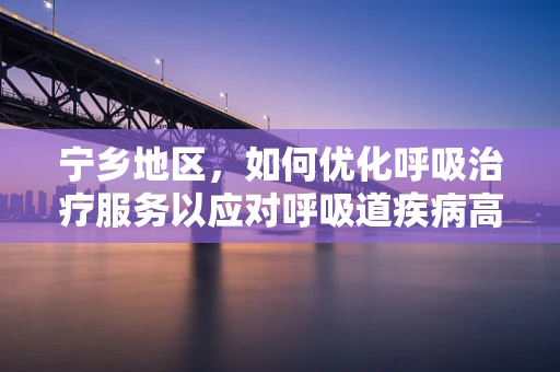 宁乡地区，如何优化呼吸治疗服务以应对呼吸道疾病高发？