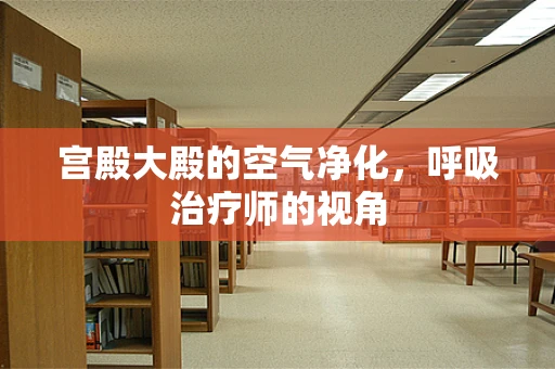 宫殿大殿的空气净化，呼吸治疗师的视角