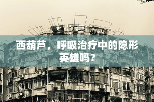 西葫芦，呼吸治疗中的隐形英雄吗？