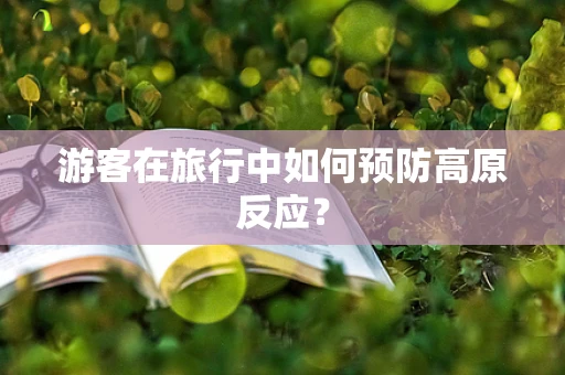 游客在旅行中如何预防高原反应？
