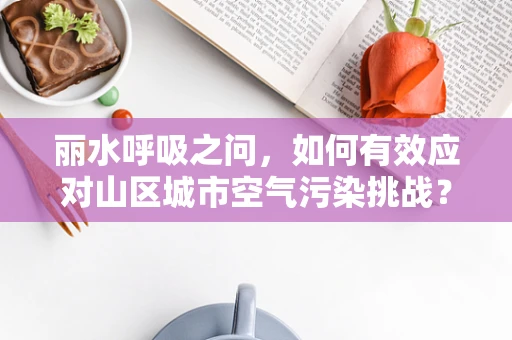 丽水呼吸之问，如何有效应对山区城市空气污染挑战？