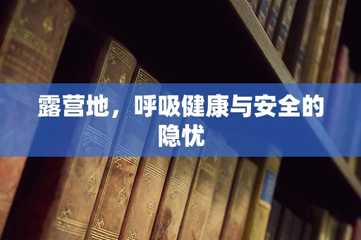 露营地，呼吸健康与安全的隐忧