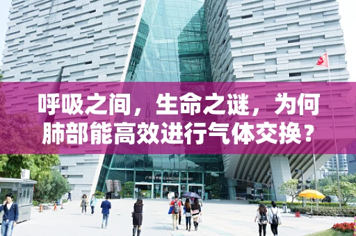 呼吸之间，生命之谜，为何肺部能高效进行气体交换？