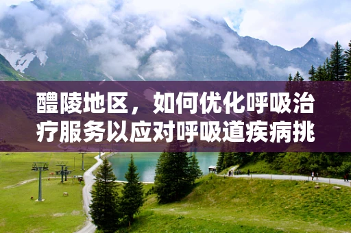 醴陵地区，如何优化呼吸治疗服务以应对呼吸道疾病挑战？