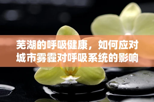 芜湖的呼吸健康，如何应对城市雾霾对呼吸系统的影响？