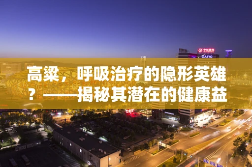 高粱，呼吸治疗的隐形英雄？——揭秘其潜在的健康益处