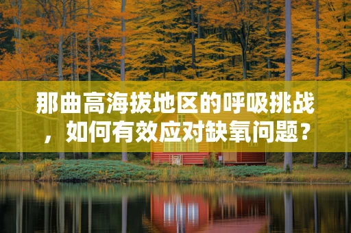 那曲高海拔地区的呼吸挑战，如何有效应对缺氧问题？