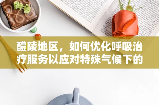 醴陵地区，如何优化呼吸治疗服务以应对特殊气候下的呼吸健康挑战？