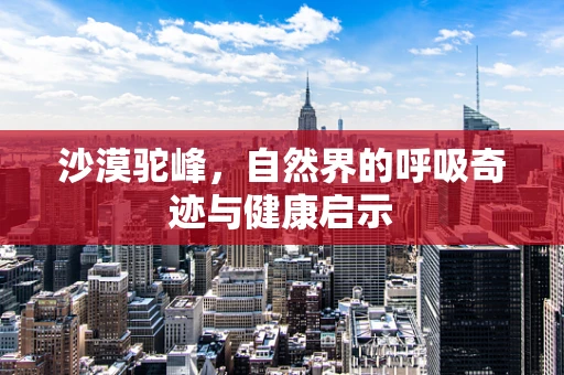 沙漠驼峰，自然界的呼吸奇迹与健康启示